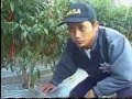 Click here to watch this video TESTIMONI PADA TANAMAN CABE (www.myfarmers.up.to)