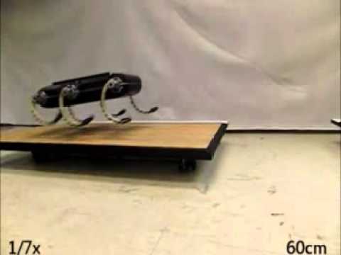 Legged Robot Performs Acrobatic Leaps