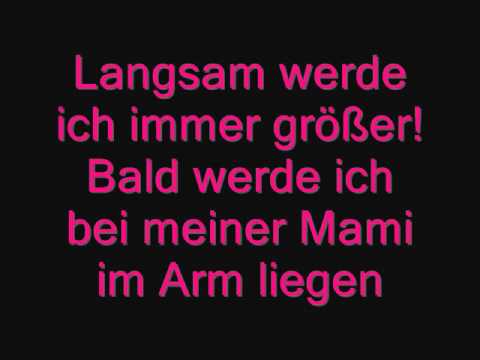 Tagebuch eines ungeborenen Babys