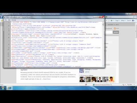how to adjust ie view