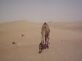 buytv-product-feature-pinnacle-pctv-hd-pro-stick.html