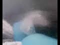 ala aliscafo snav panarea