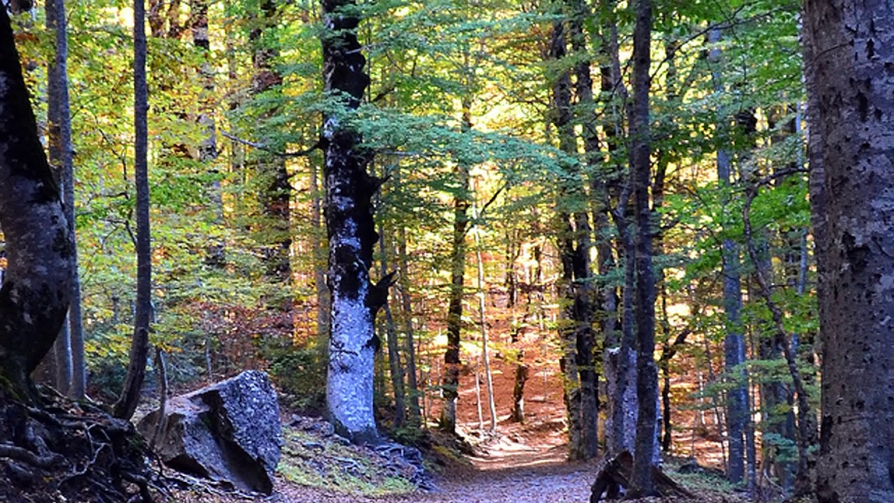 Ernesto Cortazar. Bridge of sighs.