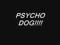 Crazy Psycho Dog
