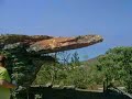 Venham conhecer este lugar ímpar 