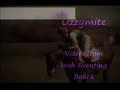 Irish Eventing