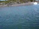 Kayaking at Columbia Glacier & Icefields Part I