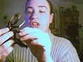 animated animated black arachnia animated animated black arachnia