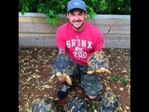 YouTube reptile video