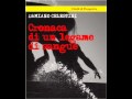 Susanna Camusso su Twitter: Sono io per davvero