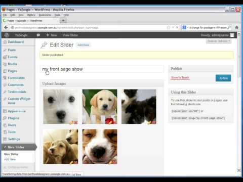 how to nivo slider wordpress