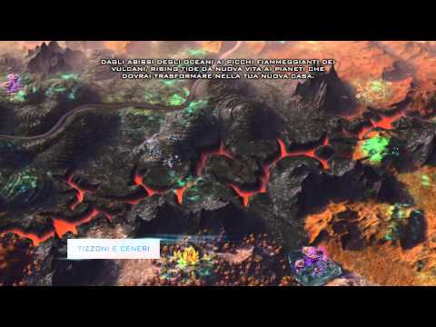 Immagine anteprima YouTube