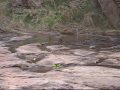 water fall at Ishta Kameshwari Temple