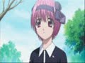 Lilium: Ron\