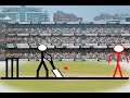 Cricket fight
