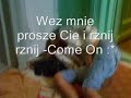 Pijanstwo i balet do rana :P Pijanstwo i balet do rana :P