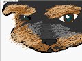 Speed painting a cute yorkie Speed painting a cute yorkie