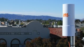 New Mimosa A5 and C5 Products