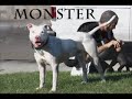 Slick Rado & Monster Koze