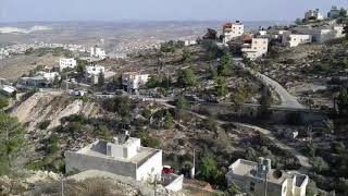 فيديو عن قرية صوريف من إعداد الطالبة فاطمة الزرد فيديو عن قرية صوريف من إعداد الطالبة فاطمة الزرد