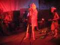 Dragibus: Pygmy pig (live)