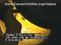 Click here to watch this video Science Technology Engineering and Mathematics