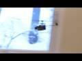 PD-100 Prototype - Flight testing