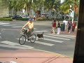 SOUTH BEACH WHAT CAN BEEN SEEN FROM 11TH STREET DINER