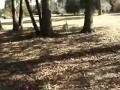 Dakoda Tracking Session#3 11.27.2008 Part 1