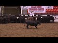 Congress 2009 NCHA 6666 Cutting World Series clip 13.mov