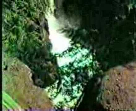 Summer 1983 - Copper Falls State Park, Mellen, WI
