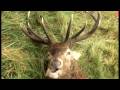 hunting-polowanie-chasse-jagt