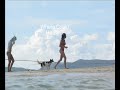 Palawan Adventure (unfinished)