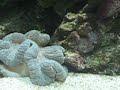 My New Fishtank