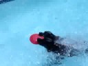 Ty Dives, Margo helps