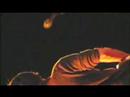 Stephen Malkmus & The Jicks, "Dragonfly"