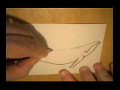 See video
