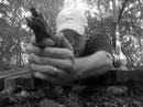Walther P22 Field Test