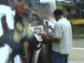 JUAN BRAVO FLUYENDO CON LA MUSICA