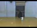 21-11-08_2005.3gp