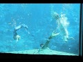 Weeki Wachee State Park - Mermaid Show - YouTube