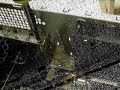 how-to-install-a-graphics-card.html
