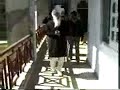 Sant Ajaib Singh Ji