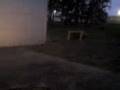 videos de Rampeneinweihung