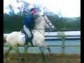 jumpin pony jumpin pony