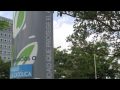 Deforestación Parque en Hato Rey