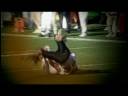 2006 OSU Beavers-Stanford: Beaverstruck! 2006 OSU Beavers-Stanford: Beaverstruck!