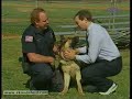 Polizeihund