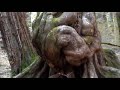 Hiking nEw ZeAlAnD