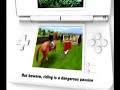 Horse Life DS gameplay